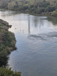 Torrente Porcaria